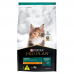 Ra&ccedil;&atilde;o para Gatos Filhotes Purina Pro Plan Kitten 3 kg
