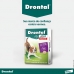 Drontal Plus 10kg Com 4 Comprimidos Sabor Carne Verm&iacute;fugo Para C&atilde;es Elanco