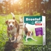 Drontal Plus 10kg Com 4 Comprimidos Sabor Carne Verm&iacute;fugo Para C&atilde;es Elanco
