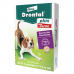 Drontal Plus 10kg Com 4 Comprimidos Sabor Carne Verm&iacute;fugo Para C&atilde;es Elanco