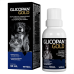 Energetico para Caes e Gatos Glicopan Gold 30ml Vetnil
