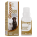 Suplemento Vitaminico Caes e Gatos Glicopan Pet 30ml Vetnil