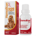 Suplemento Vitaminico Caes e Gatos Hemolitan Pet 30ml Vetnil