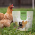 Racao para Aves Alcon Club Galinha Pet 1,5 kg