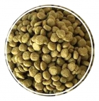 Alcon Club Repteis Jabuti - 2,5kg