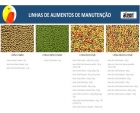 Ra&ccedil;&atilde;o Extrusada Super Premium Alcon Club Can&aacute;rio - 5 Kg