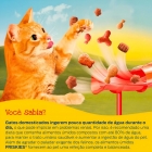 Kit 15 Sache Friskies Frango Ao Molho P/gatos Adultos - 85g
