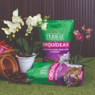 Substrato Orquidea 500g Fibra Coco Casca Pinus Carvão Terral