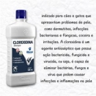 Kit 3 Shampoo Dermatite Clorexidina 500ml World