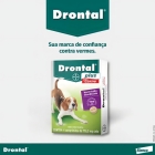 Drontal Plus Carne Cães 10kg Vermifugo 4 Comprimidos Giardia