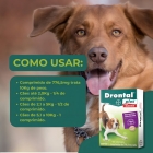 Drontal Plus Carne Cães 10kg Vermifugo 4 Comprimidos Giardia