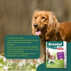 Drontal Plus Carne Cães 10kg Vermifugo 4 Comprimidos Giardia