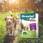 Drontal Plus Carne Cães 10kg Vermifugo 4 Comprimidos Giardia