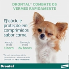 Drontal Plus Carne Cães 10kg Vermifugo 4 Comprimidos Giardia