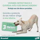 Drontal Plus Carne Cães 10kg Vermifugo 4 Comprimidos Giardia