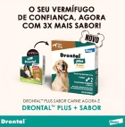 Comprimido Antiparasitário Para Vermicida Elanco Drontal Plus 35kg Para Cão De 17.6kg A 35kg 2 Comprimidos Cor Verde
