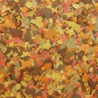 Ra&ccedil;&atilde;o Alcon Basic Para Peixes - 1kg