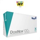 Kit 6 Caixas De Doxinew 100 Mg C/14 Comprimidos